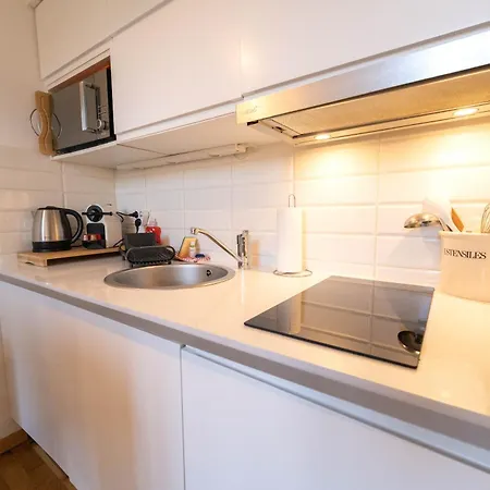 Rc Cosy Avec Mezzanine Au Coeur De Nice