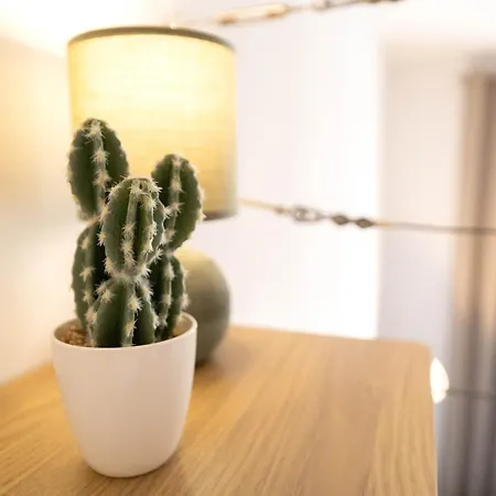 Rc Cosy Avec Mezzanine Au Coeur De Apartmán Nice